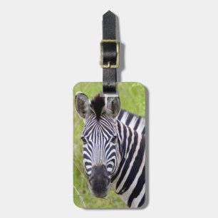 Porträt des Steppenzebras, Hluhluwe-Umfolozi-Wildr Gepäckanhänger