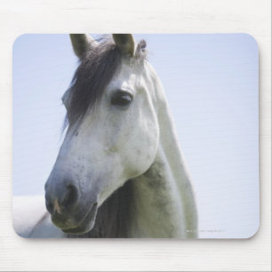 Porträt des weißen Pferds Mousepad