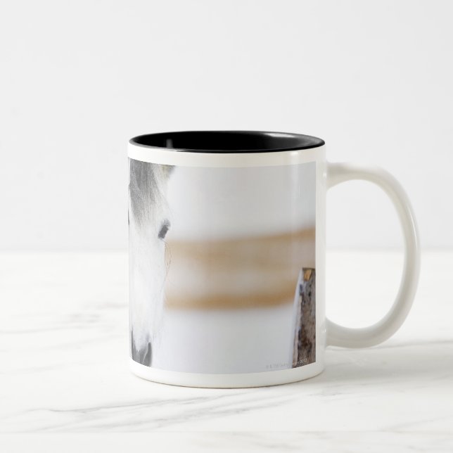 Porträt des weißen Pferds Zweifarbige Tasse (Rechts)