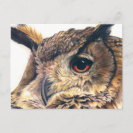 Porträt einer Adlereule Postkarte