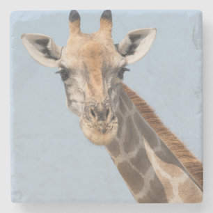 Porträt einer angolanischen Giraffe Steinuntersetzer