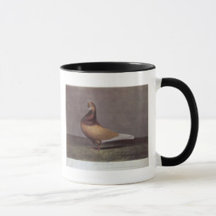 Porträt einer Bart-Taube Tasse