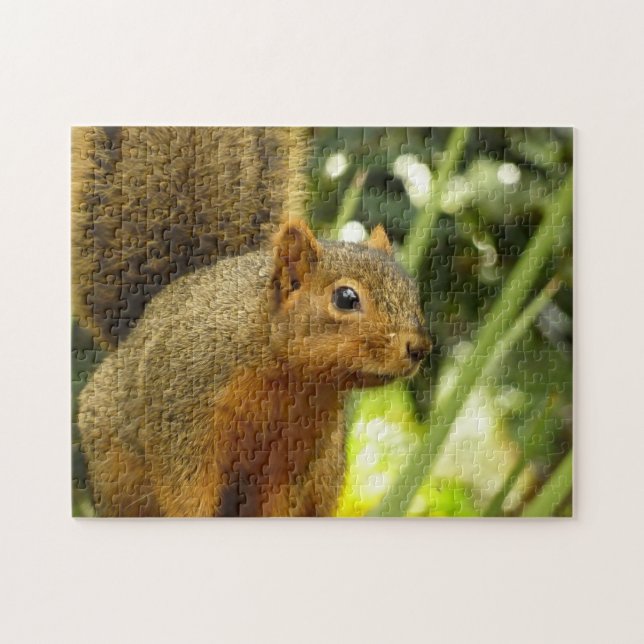 Porträt einer Eichhörnchennaturfotografie (Horizontal)