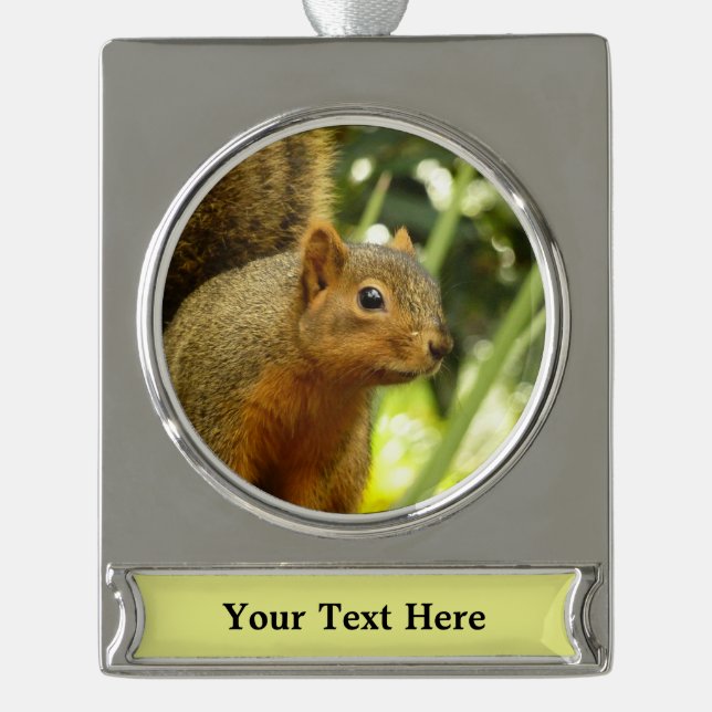 Porträt einer Eichhörnchennaturfotografie Banner-Ornament Silber (Vorderseite)