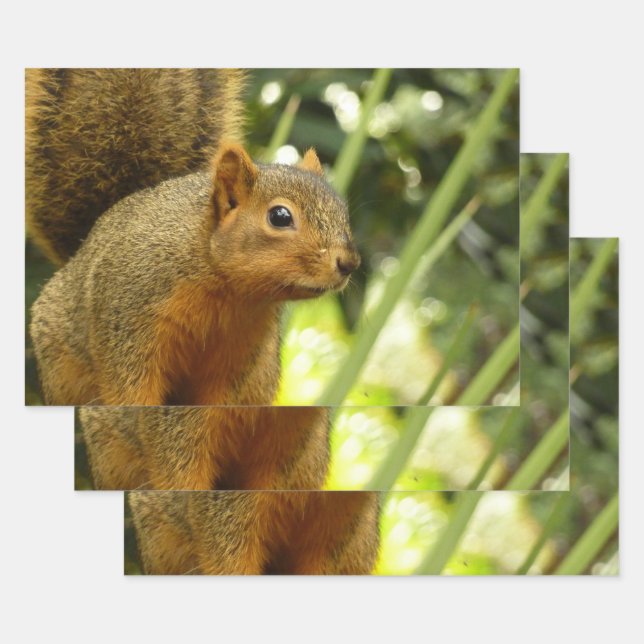 Porträt einer Eichhörnchennaturfotografie Geschenkpapier Set (Set)