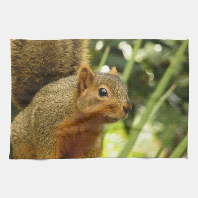 Porträt einer Eichhörnchennaturfotografie Geschirrtuch (Horizontal)