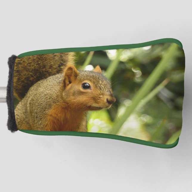 Porträt einer Eichhörnchennaturfotografie Golf Headcover (Vorderseite)