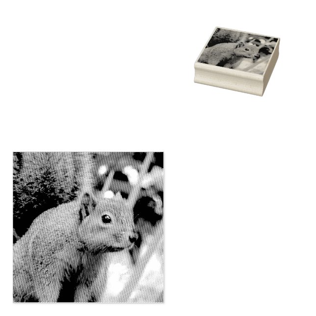 Porträt einer Eichhörnchennaturfotografie Gummistempel (Stempel)