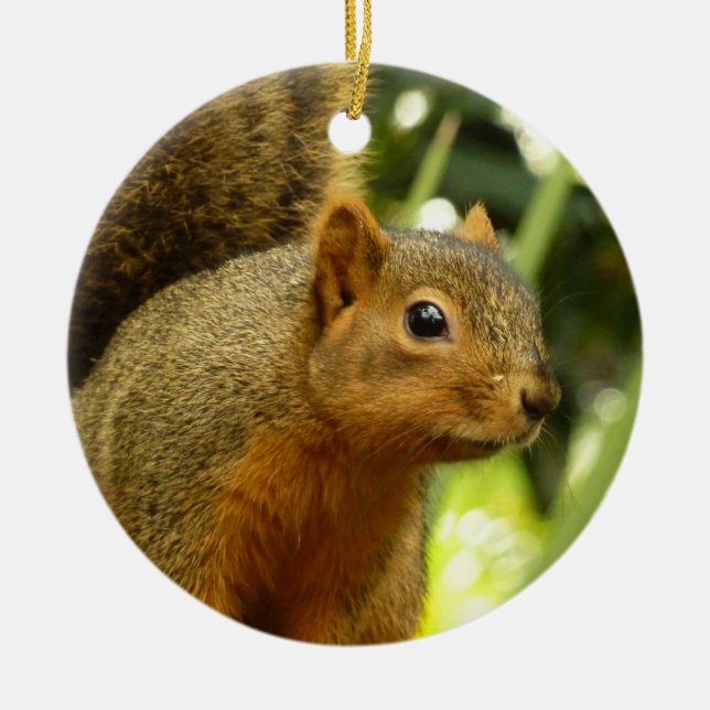Porträt einer Eichhörnchennaturfotografie Keramikornament (Vorne)