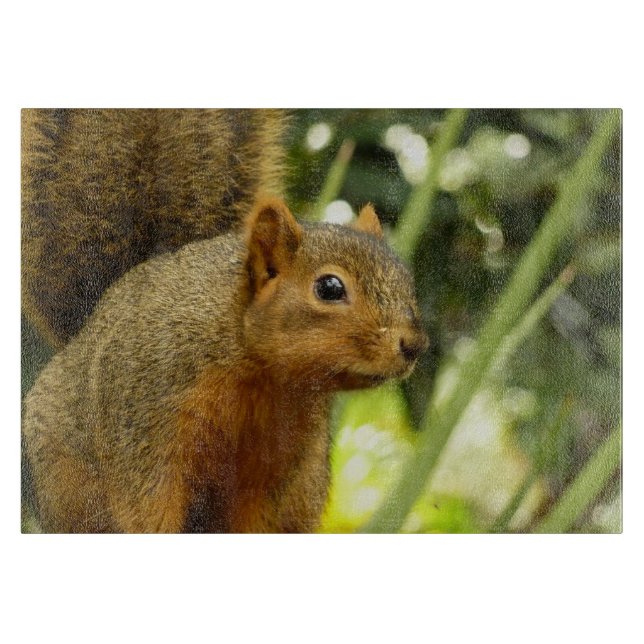 Porträt einer Eichhörnchennaturfotografie Schneidebrett (Vorderseite)