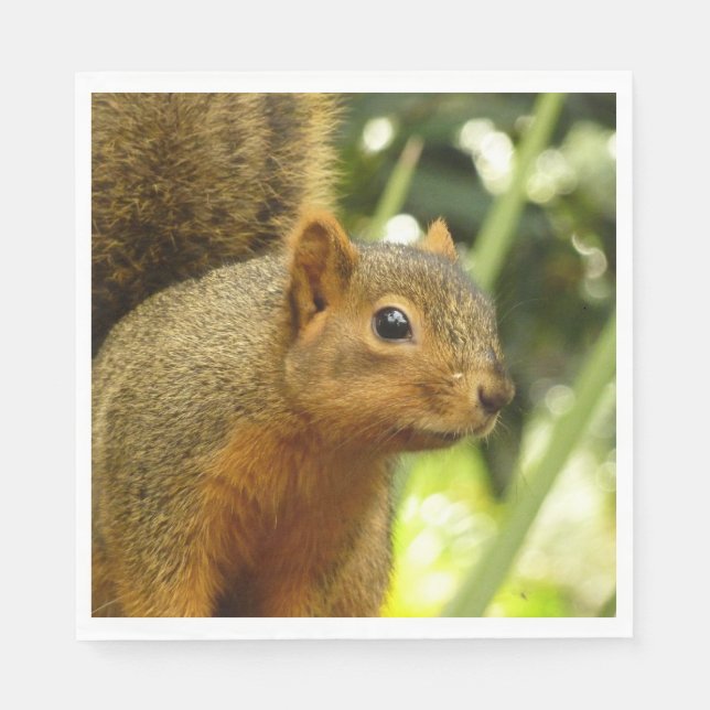 Porträt einer Eichhörnchennaturfotografie Serviette (Vorderseite)