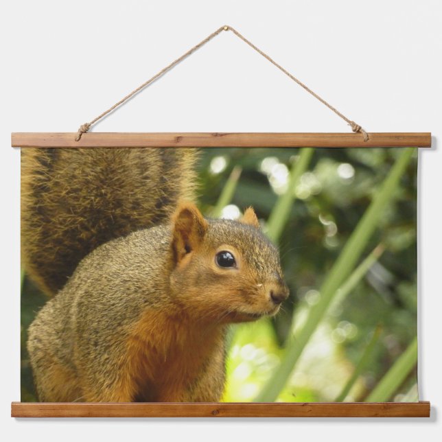 Porträt einer Eichhörnchennaturfotografie Wandteppich Mit Holzrahmen (Vorne)