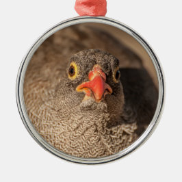 Porträt einer Grouse Ornament Aus Metall
