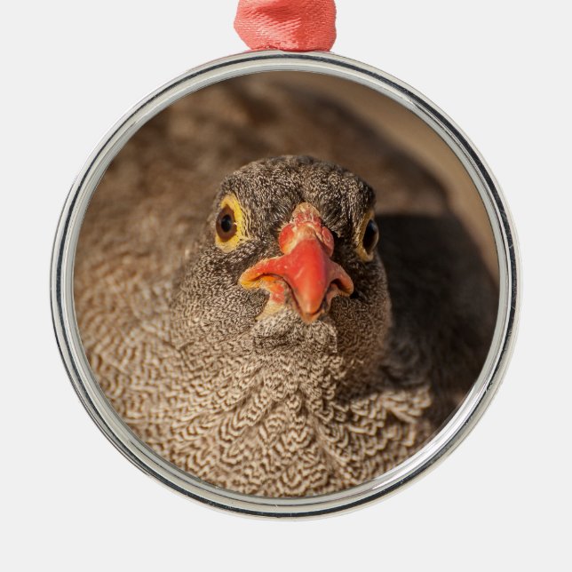 Porträt einer Grouse Ornament Aus Metall (Vorne)