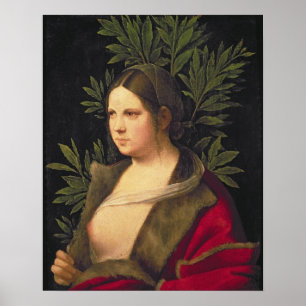 Porträt einer jungen Frau, 1506 Poster