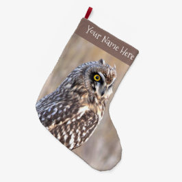 Porträt einer Kurzen Eule in den Marschen Großer Weihnachtsstrumpf