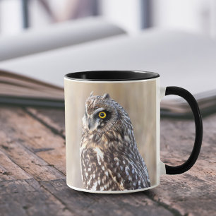 Porträt einer Kurzen Eule in den Marschen Tasse
