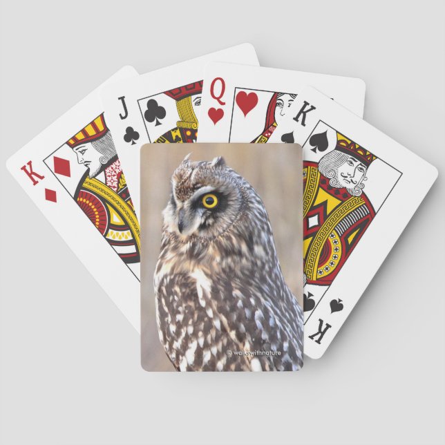 Porträt einer Kurzen Eule Spielkarten (Rückseite)