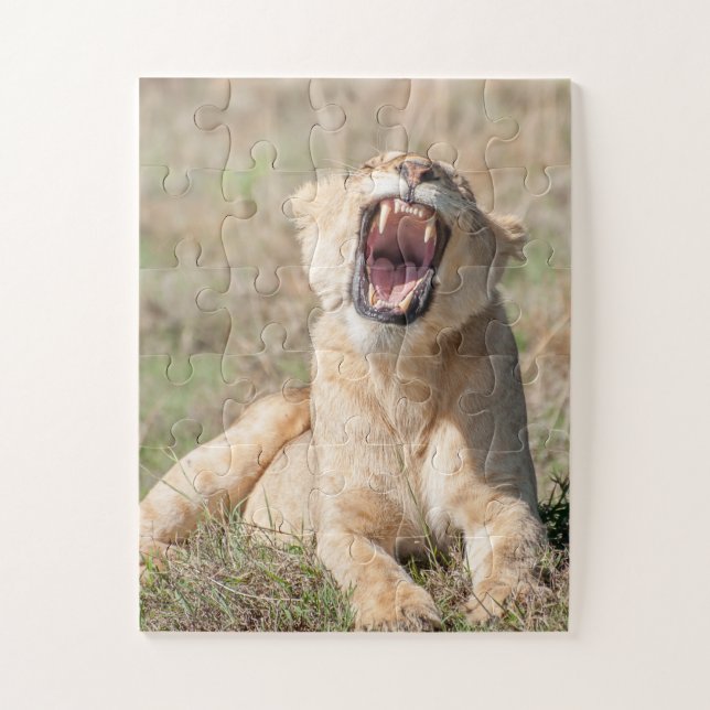 Porträt einer Lioness (Vertikal)