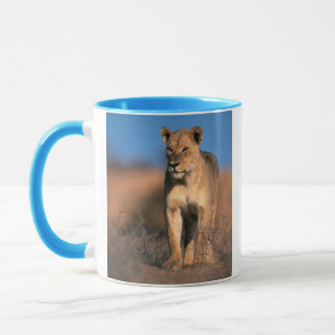 Porträt einer Löwin (Panthera Leo) Tasse