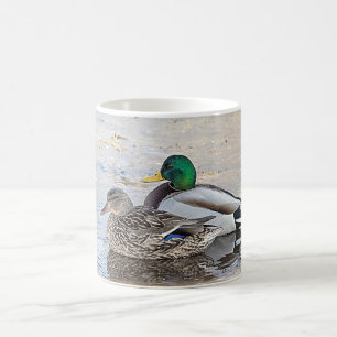 Porträt einer männlichen und weiblichen Stockente Kaffeetasse