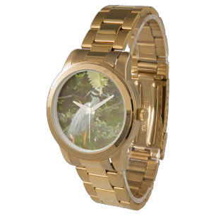 Porträt einer Möwe Goldene Uhr