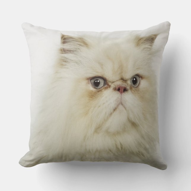 Porträt einer persischen Katze Kissen (Vorderseite)