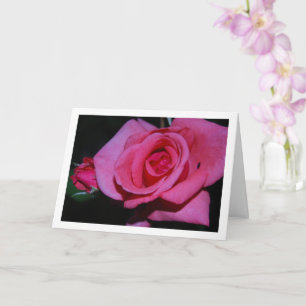 Porträt einer rosa Rose Karte