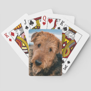 Porträt eines Airedale Terriers Spielkarten