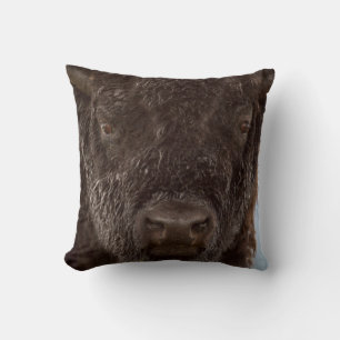Porträt eines Bisonbullen im Regen Kissen