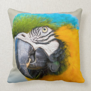 Porträt eines blauen und gelben Macaw Kissen