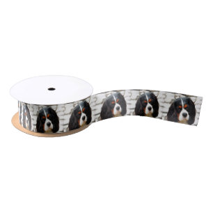 Porträt eines Cavalier King Charles Spaniels Satinband