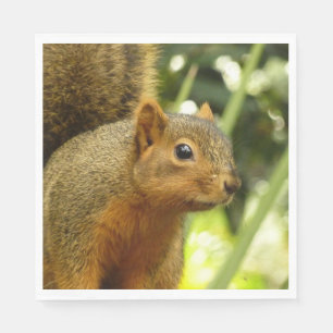 Porträt eines Eichhörnchens Natur Tierfotografie Serviette