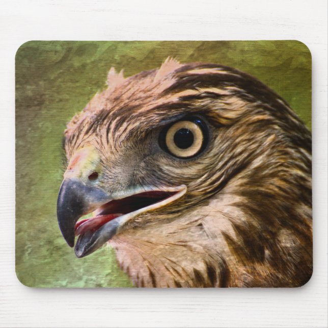 Porträt eines Falken Mousepad (Vorne)