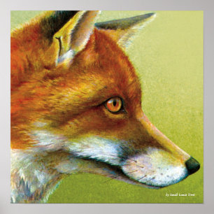 Porträt eines Fuchs-Kunst-Plakatdruckes Poster