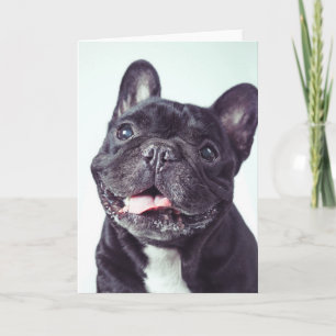 Porträt eines glücklichen französischen Bulldogist Karte