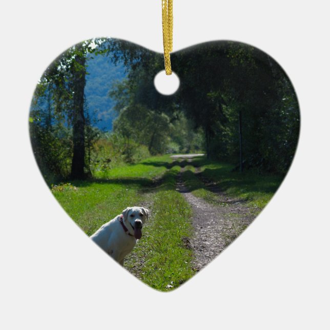 Porträt eines goldenen Retriever, der sich hinsetz Keramik Ornament (Vorne)