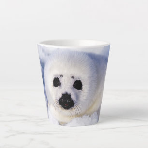 Porträt eines Harfensäuglings Milchtasse