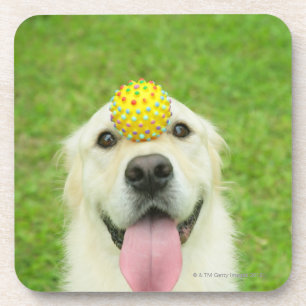 Porträt eines Hundes mit einem Ball auf seiner Getränkeuntersetzer