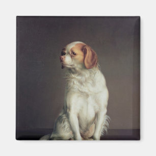 Porträt eines Königcharles Spaniel Magnet