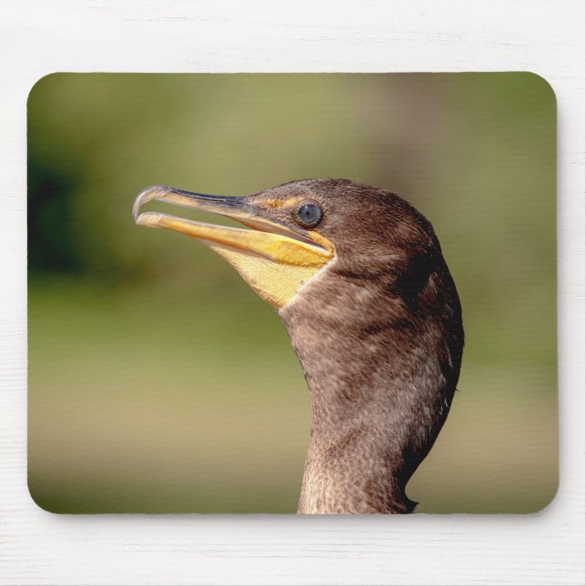 Porträt eines Kormorans Mousepad (Vorne)