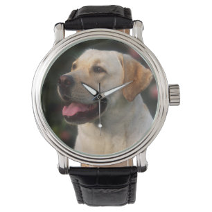 Porträt eines Labrador Retrievers, Hilton Armbanduhr