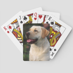 Porträt eines Labrador Retrievers, Hilton Spielkarten