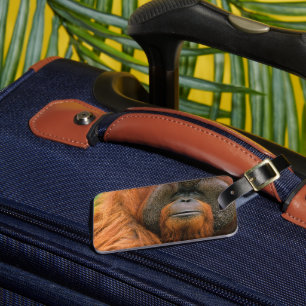 Porträt eines männlichen Orang-Utans, Georgia, USA Gepäckanhänger