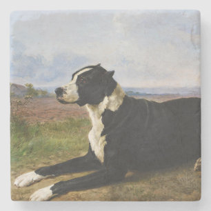 Porträt eines Mastiff-Labrador-Hundes (Rosa Bonheu Steinuntersetzer