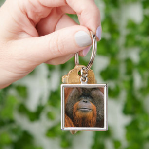 Porträt eines Orang-Utan-Männchens, Georgia, USA Schlüsselanhänger