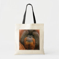 Porträt eines Orang-Utan-Männchens, Georgia, USA