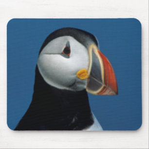Porträt eines Papageitauchers Mousepad