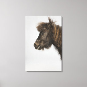Porträt eines Pferds Leinwanddruck