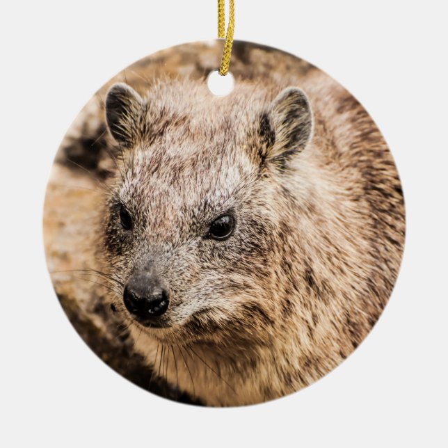 Porträt eines Rock Hyrax Keramik Ornament (Vorne)